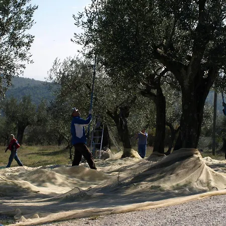 Casale Privato Per Famiglie E Gruppi Cibottola Pg 4* Piegaro (Umbria)
